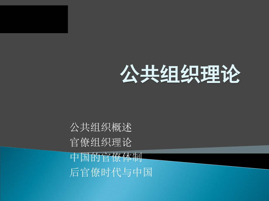 {企业组织设计}公共组织理论讲义_第1页