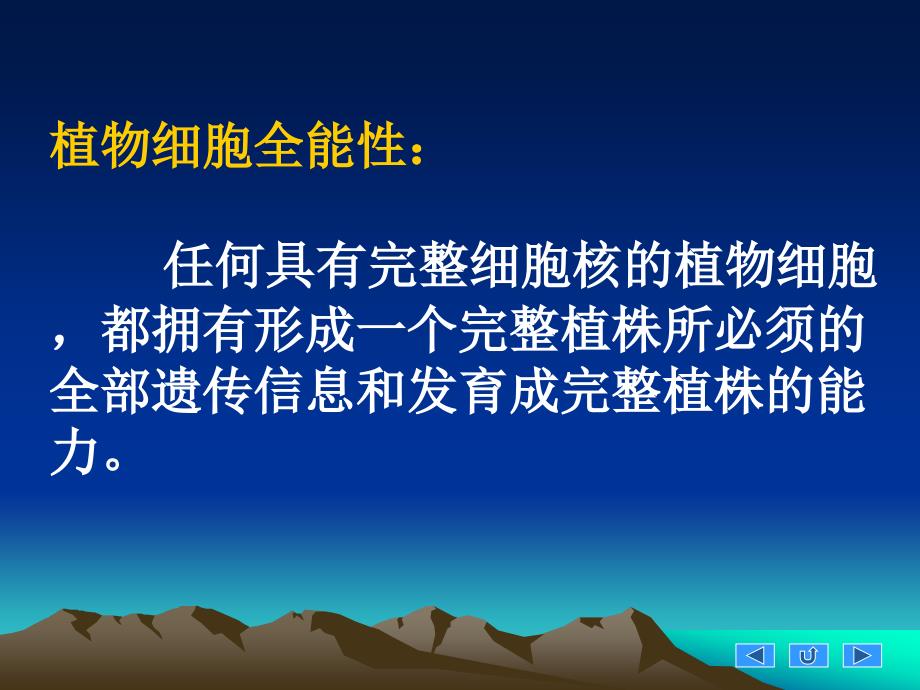 {企业组织设计}12小麦成熟胚愈伤组织诱导_第4页