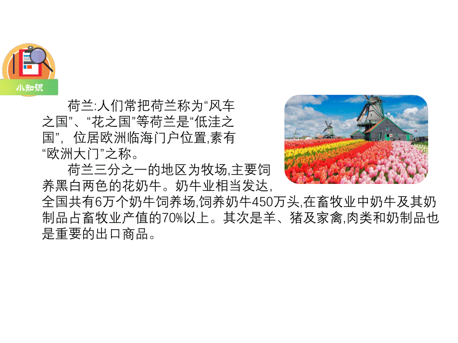 部编人教版语文五年级下册教学课件-19.牧场之国_第3页