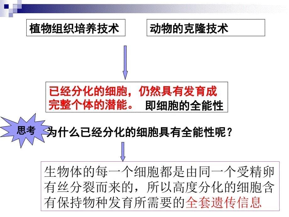 {企业组织设计}菊花的组织培养(1_第5页