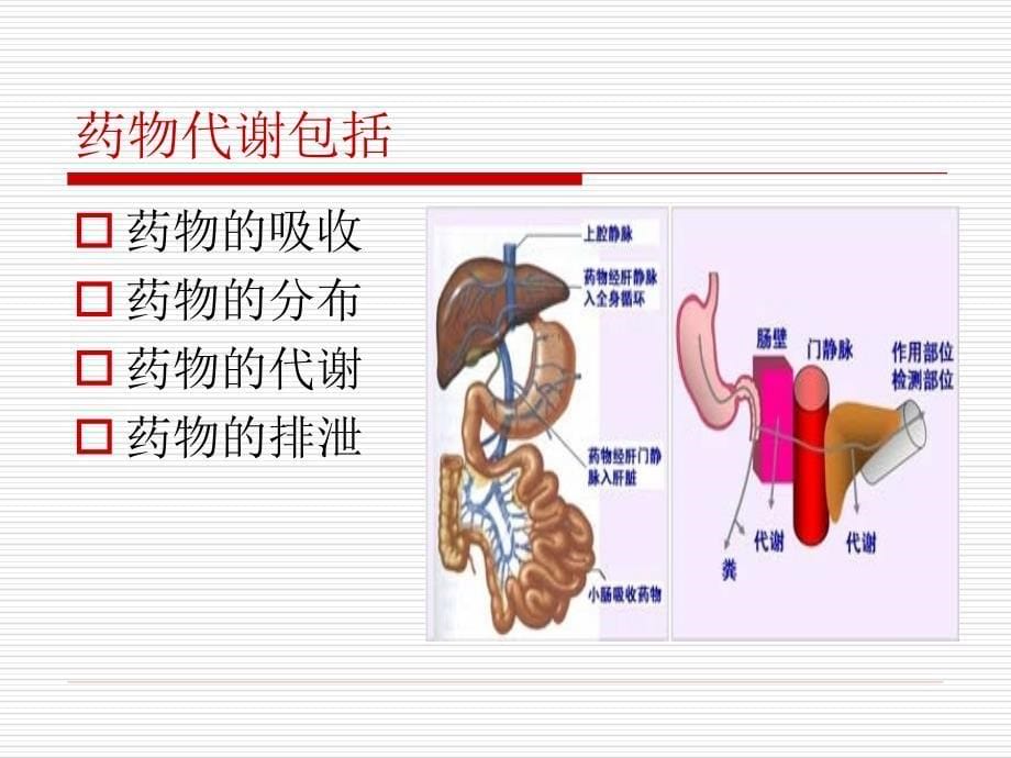 {医疗药品管理}老年患者的用药管理讲义_第5页