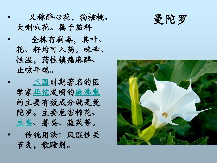 {医疗药品管理}花之毒及其药用价值_第2页