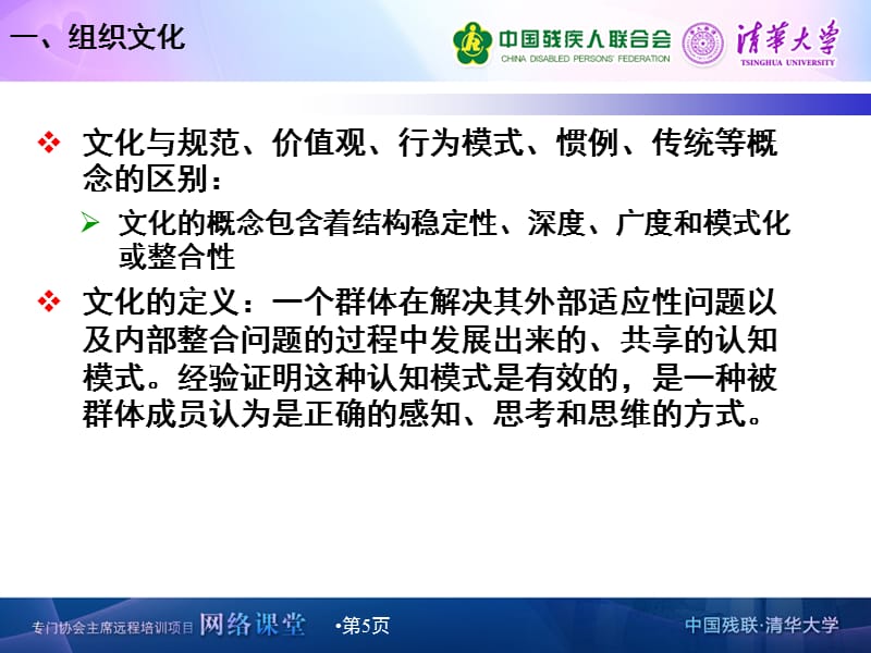 {企业组织设计}民间社会组织文化建设郑路_第5页