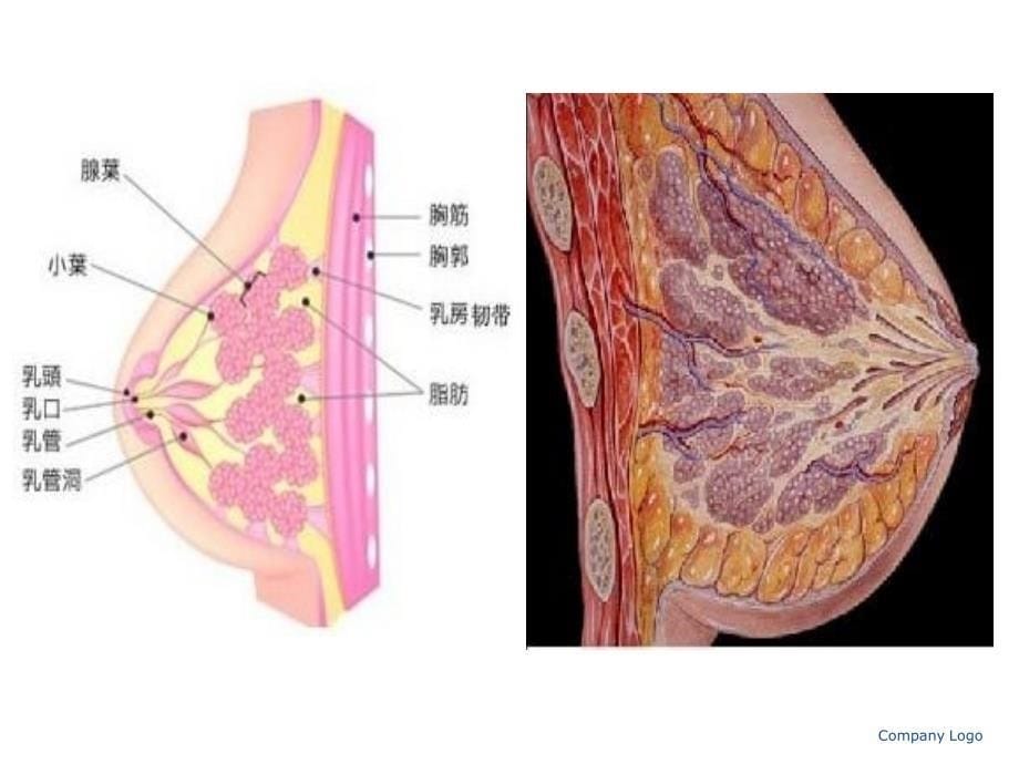 {企业管理诊断}癌症的表现诊断与治疗办法总结新医大五附院_第5页