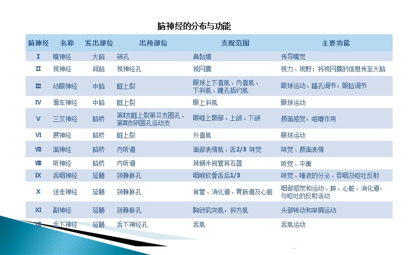 颅内神经分布表ppt课件_第3页