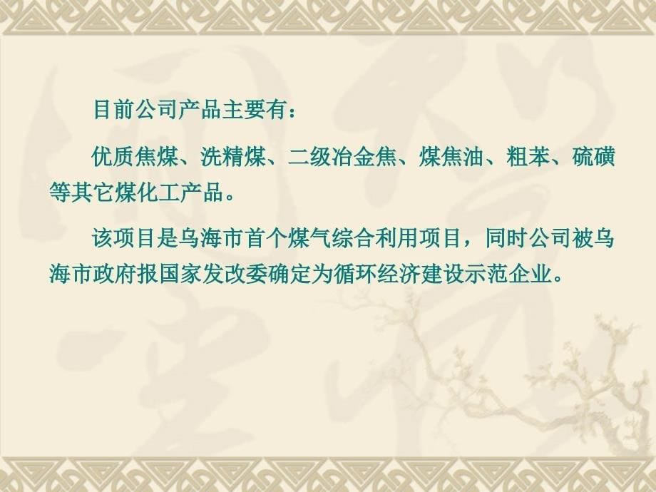 {冶金行业管理}洗煤及其下游产品_第5页