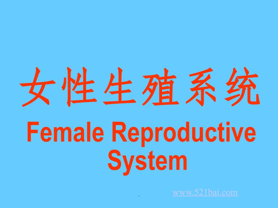 女性生殖系统解剖生理ppt课件_第1页
