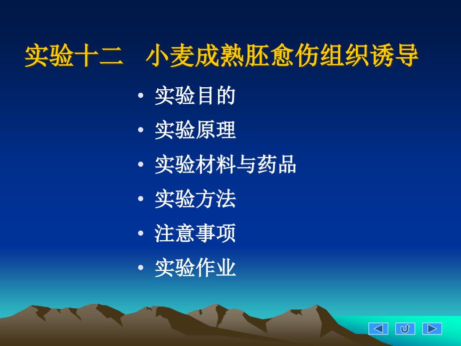 {企业组织设计}实验12小麦成熟胚愈伤组织诱导_第1页