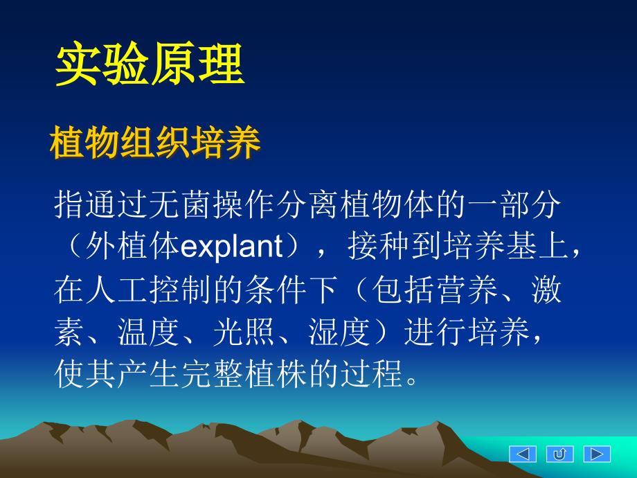 {企业组织设计}实验12小麦成熟胚愈伤组织诱导_第3页