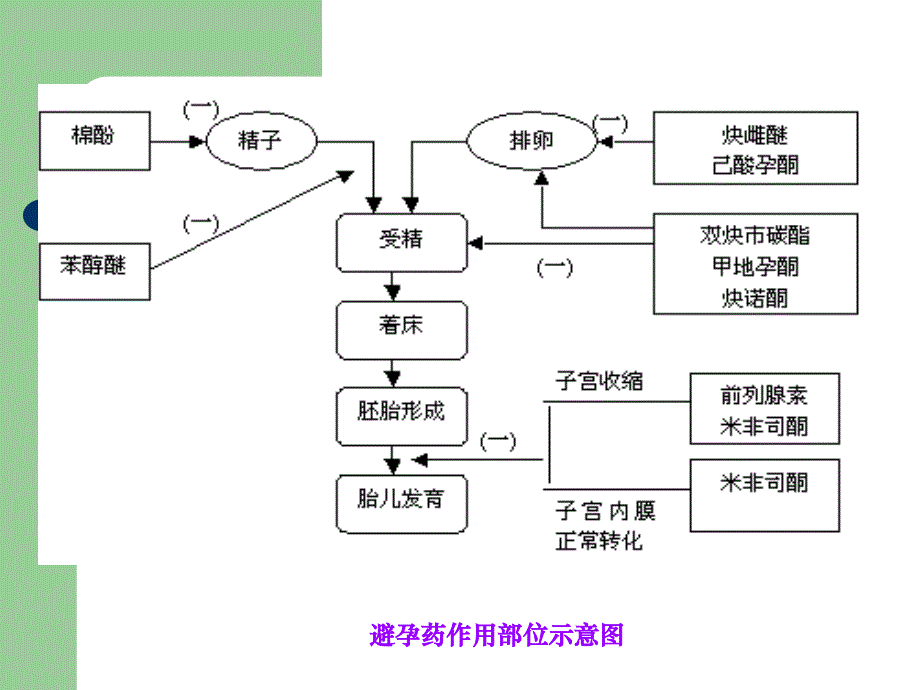 {医疗药品管理}避孕药_第4页