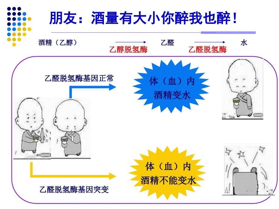 {医疗药品管理}胡欣药物基因组学与个体化用药某市)_第5页