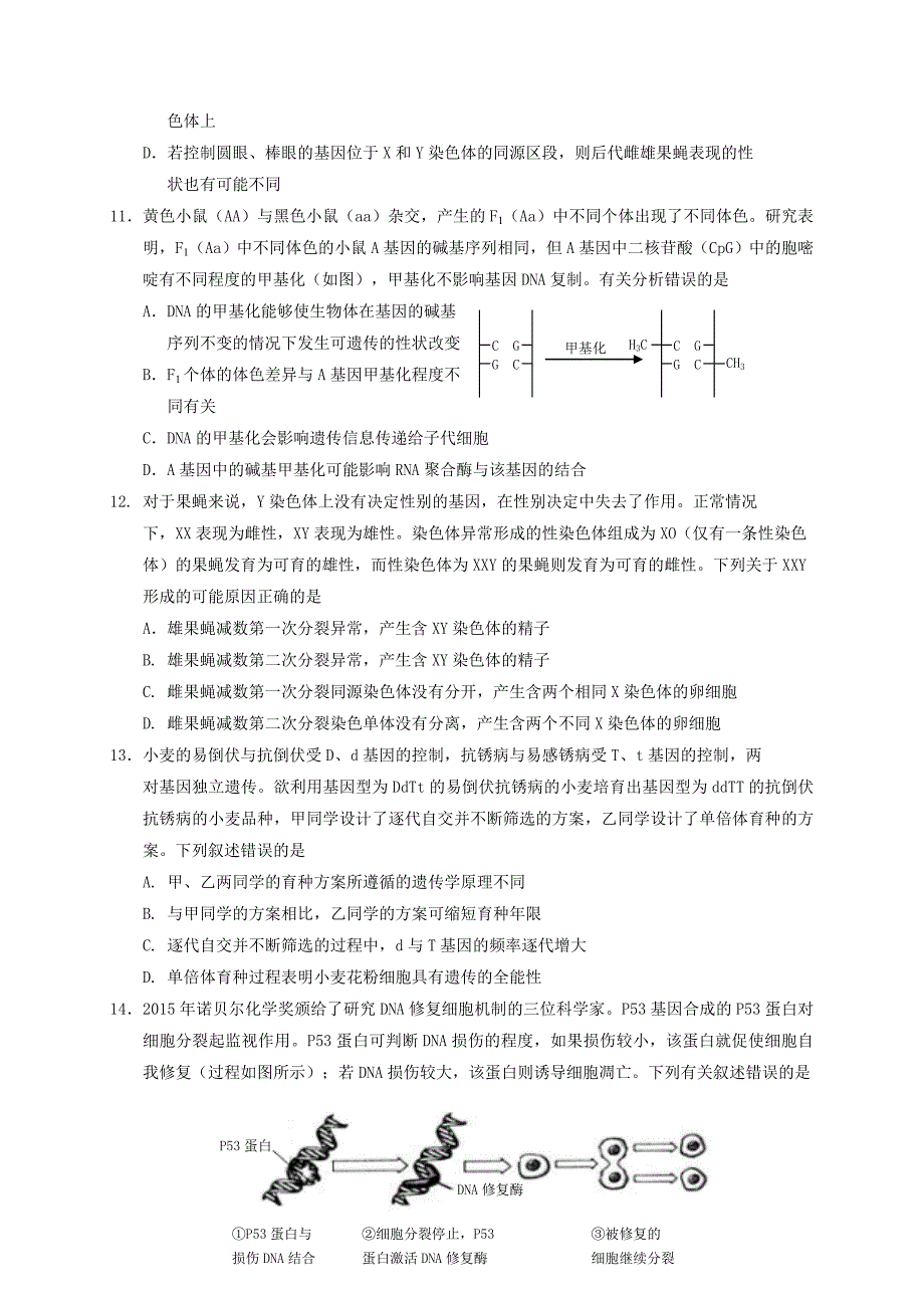 山东省烟台市2019-2020学年高一下学期期末考试生物试题 Word版含答案_第4页