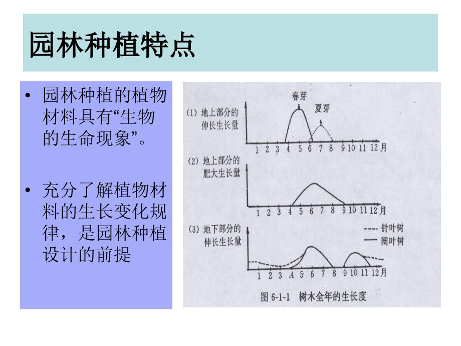 {园林工程管理}园林种植工程讲稿_第2页