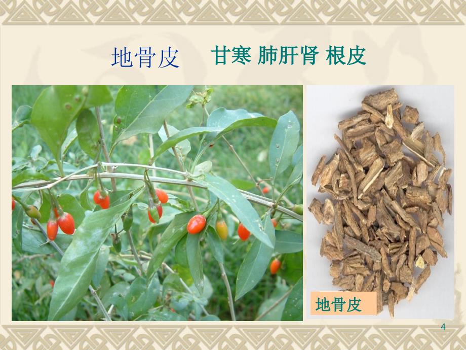 {医疗药品管理}清虚热药_第4页