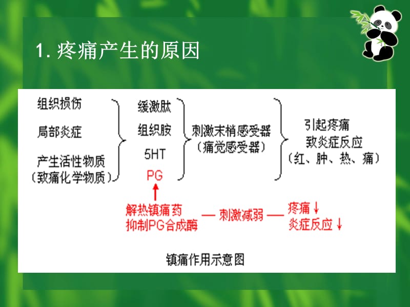 {医疗药品管理}镇痛药和解热镇痛药作用比较新)_第5页