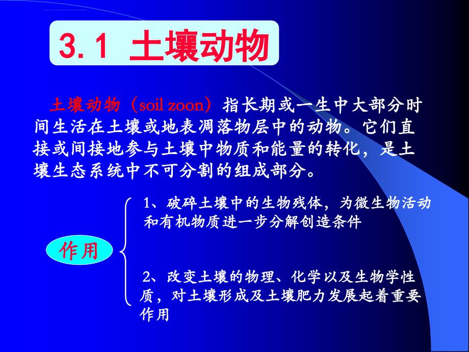 第三章土壤生物森林土壤课件_第3页