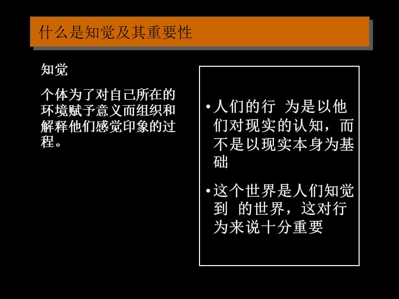 {企业组织设计}罗宾斯组织行为学中文12版_与讲义同步_05_第2页
