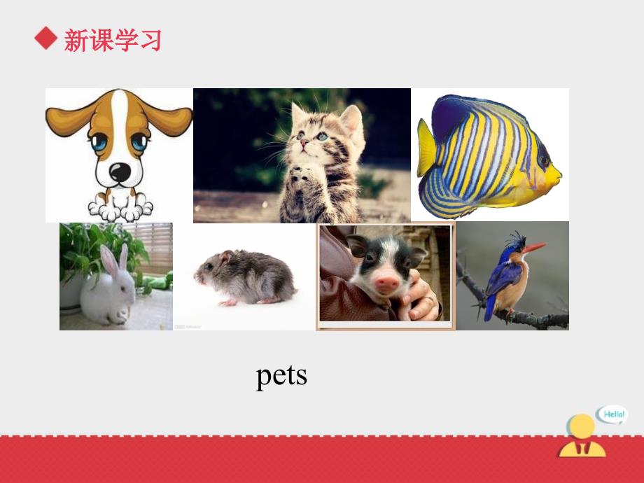 Unit+4 lesson 3《pets》课件.ppt_第4页