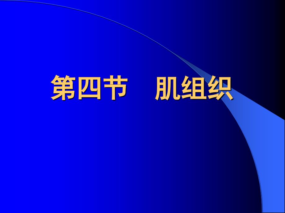 {企业组织设计}肌组织的结构_第1页