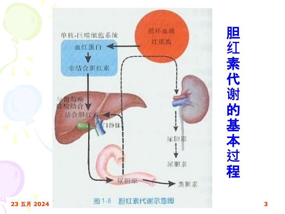 {企业管理诊断}黄疸的鉴别诊断_第3页