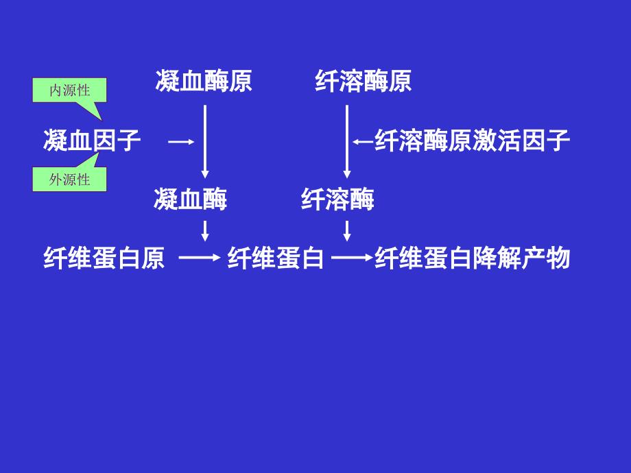 {医疗药品管理}30作用于血液及造血系统的药物_第4页