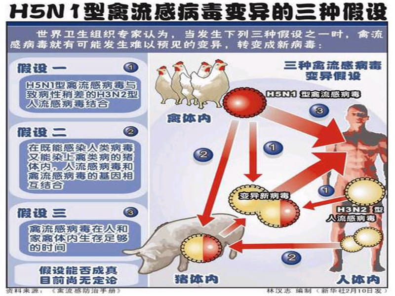 {企业危机管理}第十四章公共危机管理_第2页