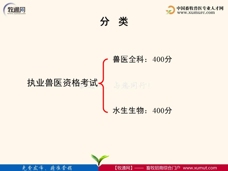 解读国家执业兽医资格考试题型及答题技巧研究报告_第2页