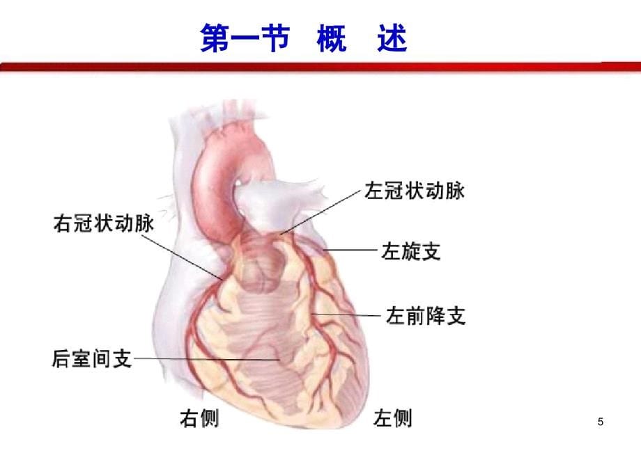 {医疗药品管理}22本)抗心绞痛药_第5页