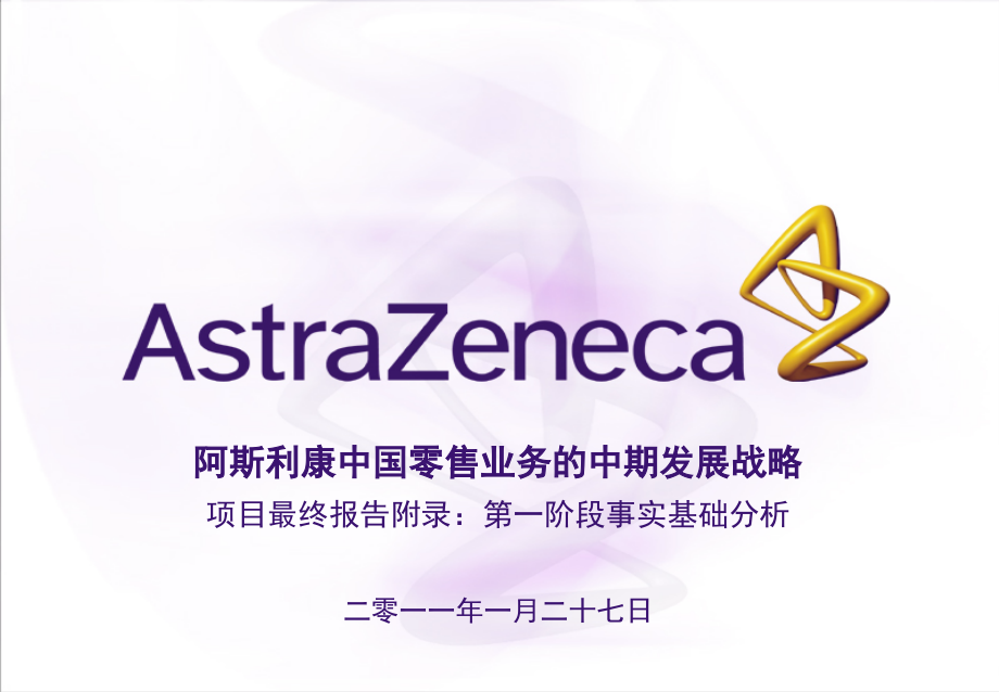 AZ最终报告附录第一阶段事实基础分析电子教案_第1页