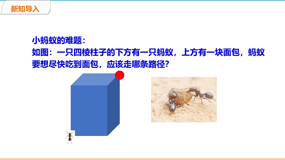 北师大版数学七年级上册第一章《展开与折叠（2）》》名师课件_第2页