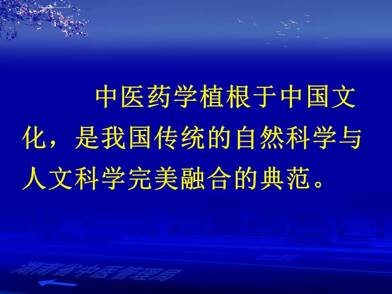 中医治病的理念、原则与方法(2012)课件_第2页