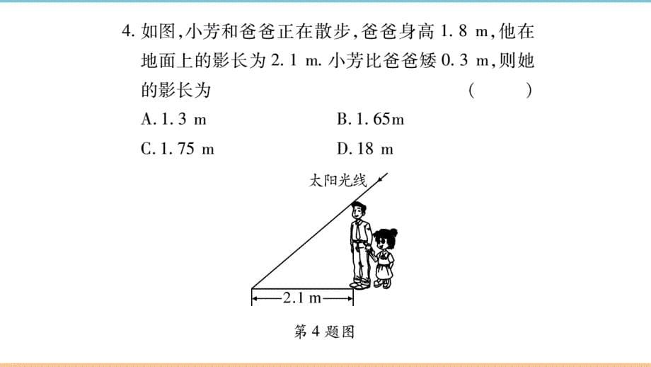 北师大版数学九年级上册第四章习题课件：利用相似三角形测高_第5页