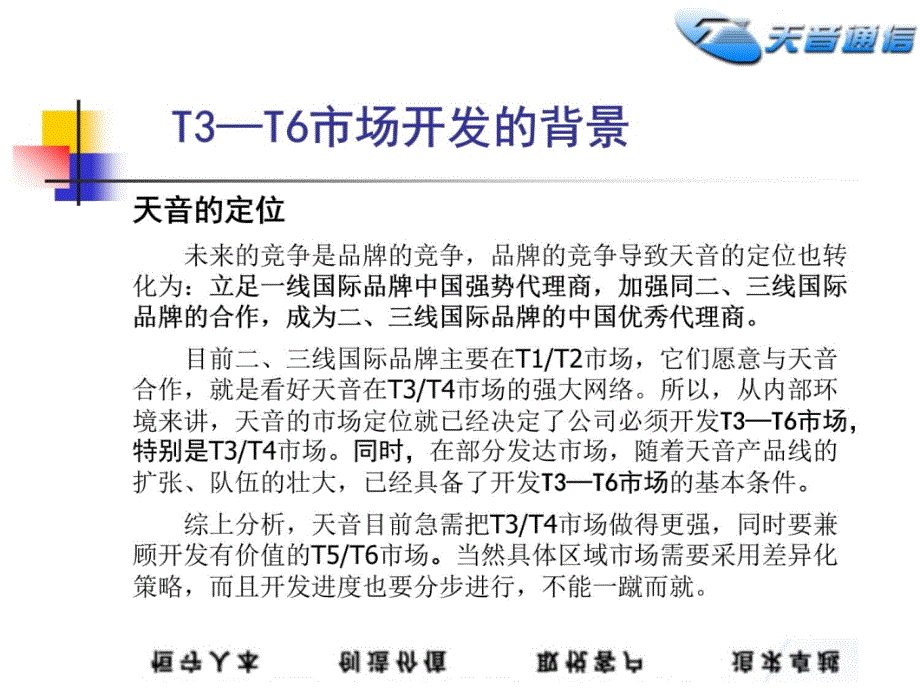 T3-T6市场开发策略(初稿)资料教程_第4页