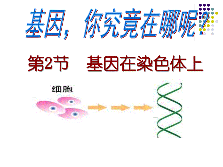 zh基因在染色体上教学案例_第1页