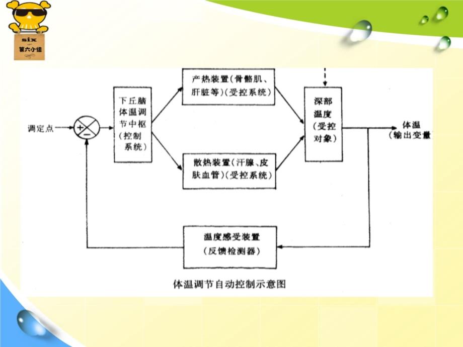 smu发热pbl培训资料_第4页