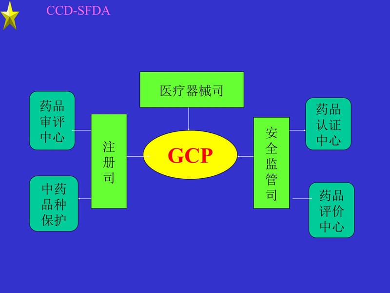 GCP与药物临床试验机构资格认定培训教材_第4页