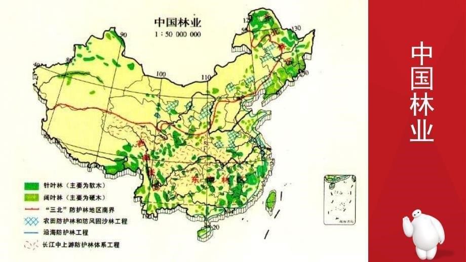 中国森林资源分布课件_第5页