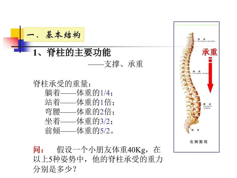 保护脊柱讲义资料_第5页