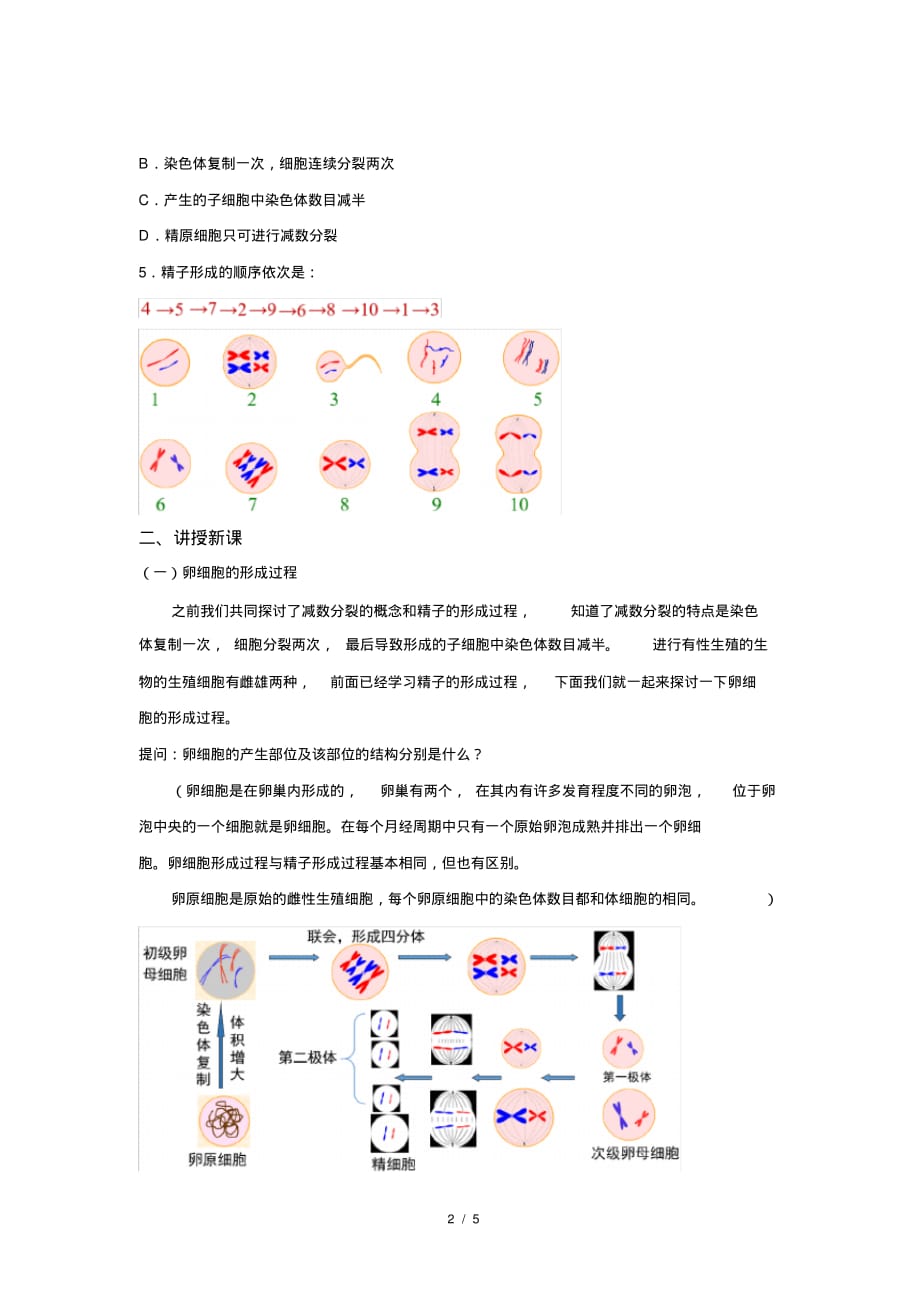 人教新课标高中生物必修二第1节减数分裂和受精作用第2课时示范教案_第2页