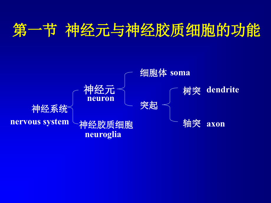 10神经系统的功能资料教程_第2页