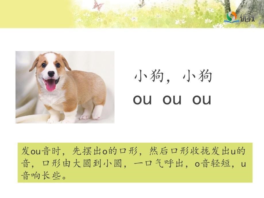 部编一年级语文上册《ao_ou_iu》名师精品课件_第5页