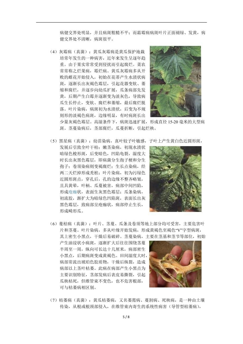 黄瓜的懒农种植法及病虫害防治_第5页