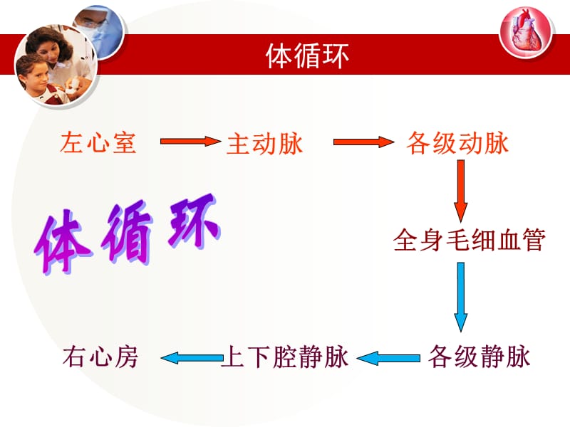 血液循环的路线精品课件_第2页