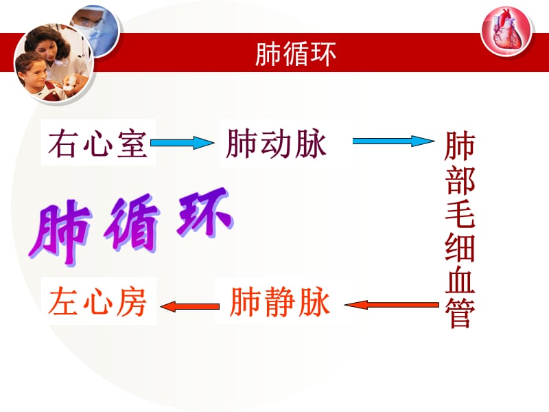 血液循环的路线精品课件_第3页