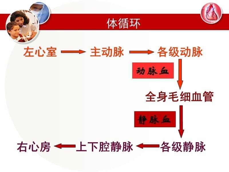 血液循环的路线精品课件_第5页