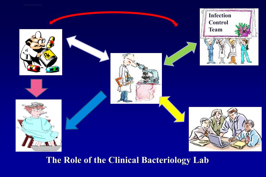 临床微生物室标本处理及操流程课件_第2页