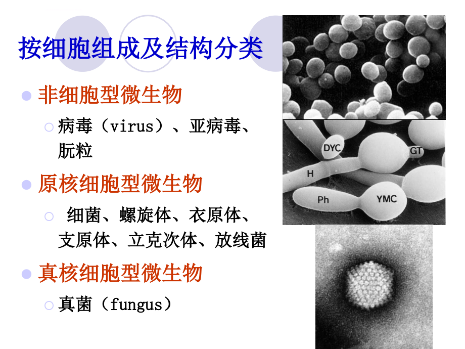 临床微生物学检验.描述课件_第3页