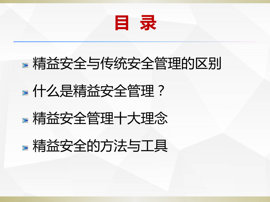 企业精益安全管理专题知识讲解_第3页