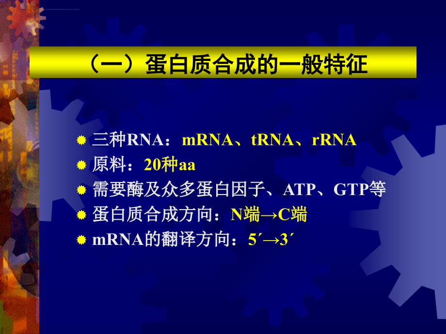 分子生物学3翻译课件_第4页