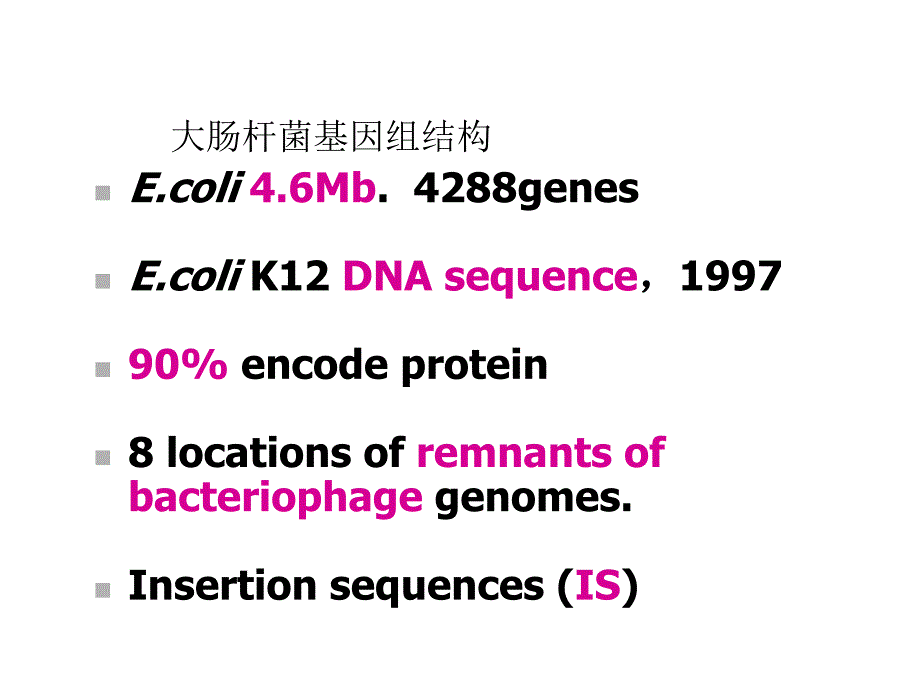 分子遗传学 第四章课件_第4页